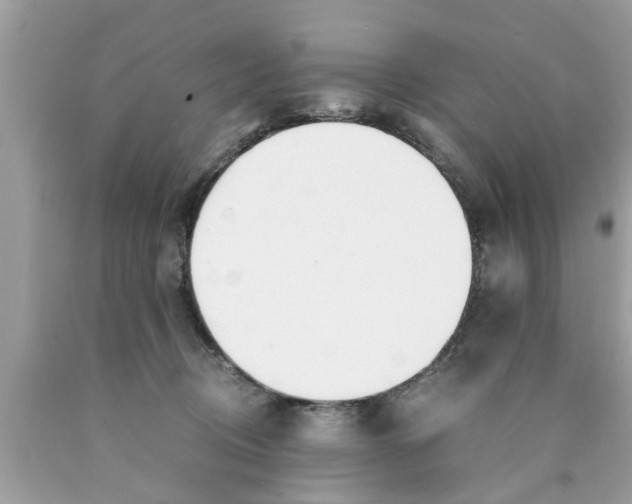 X0000089870370200707262154