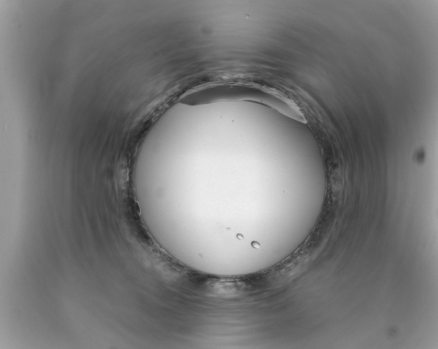 X0000089870372200707262154