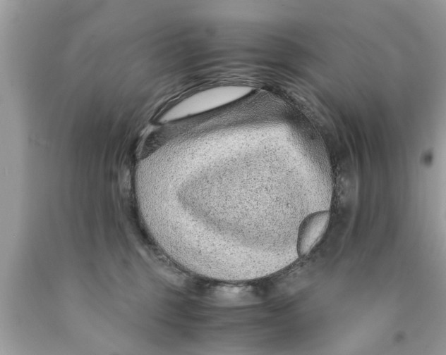 X0000089870375200707262154