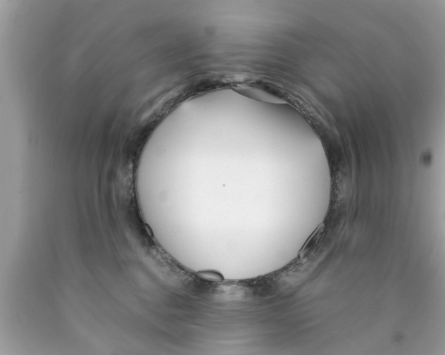 X0000089870376200707262154