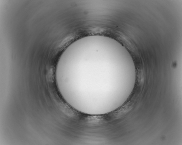 X0000089870378200707262154