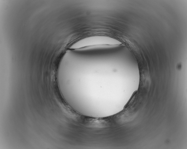 X0000089870379200707262154
