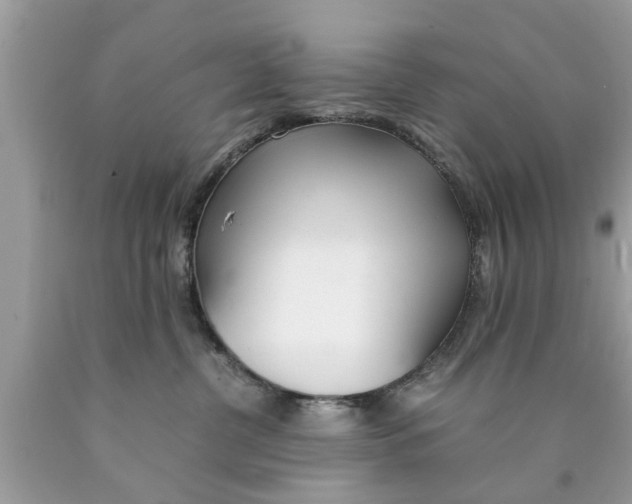X0000089870380200707262154