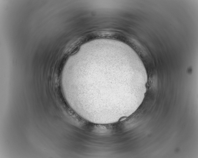 X0000089870381200707262154