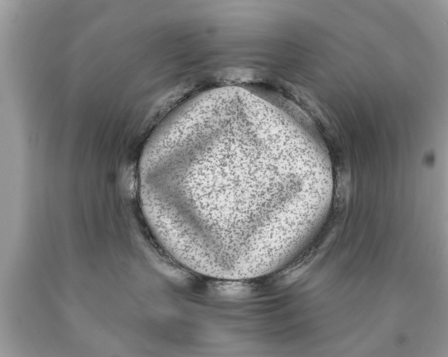 X0000089870383200707262154