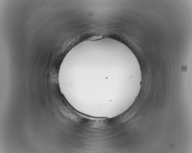 X0000089870384200707262154