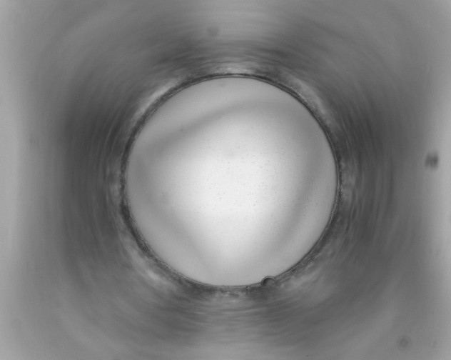 X0000089870386200707262153