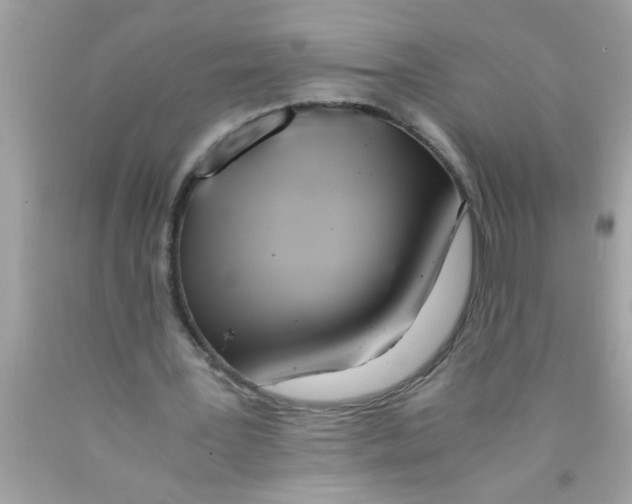 X0000089870387200707262153
