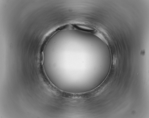 X0000089870388200707262153