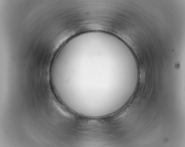 X0000089870390200707262153