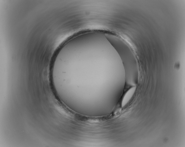 X0000089870391200707262153