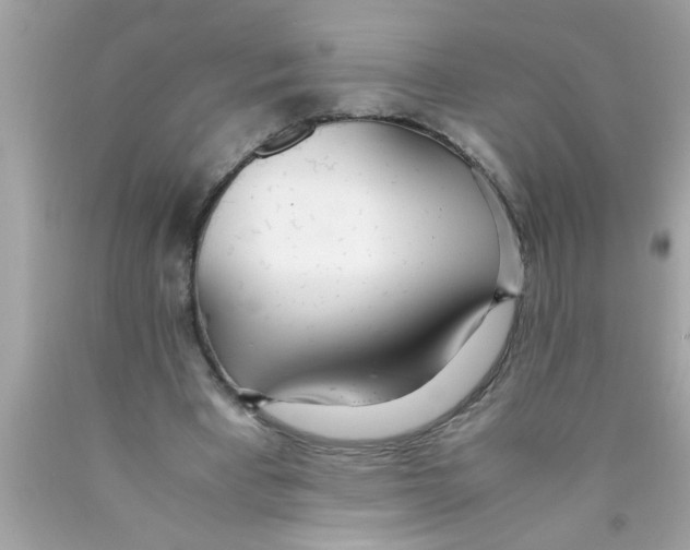 X0000089870393200707262153