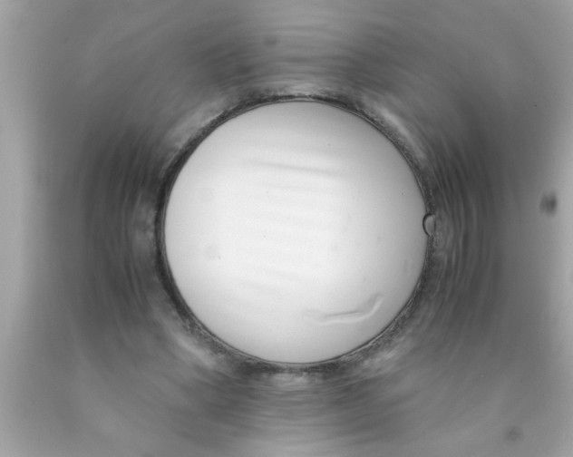 X0000089870394200707262153