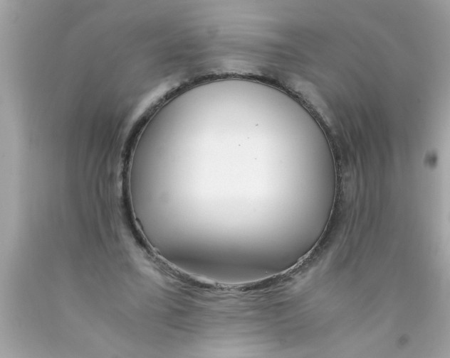 X0000089870395200707262153
