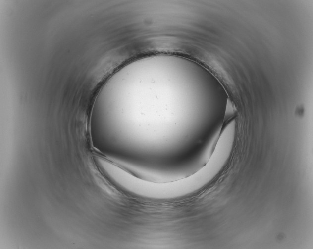 X0000089870397200707262153