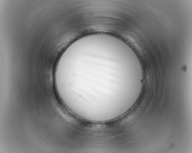 X0000089870398200707262153