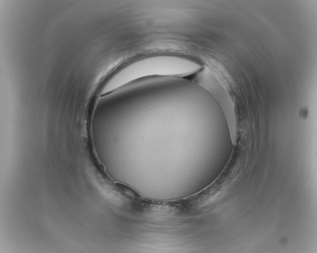 X0000089870399200707262153