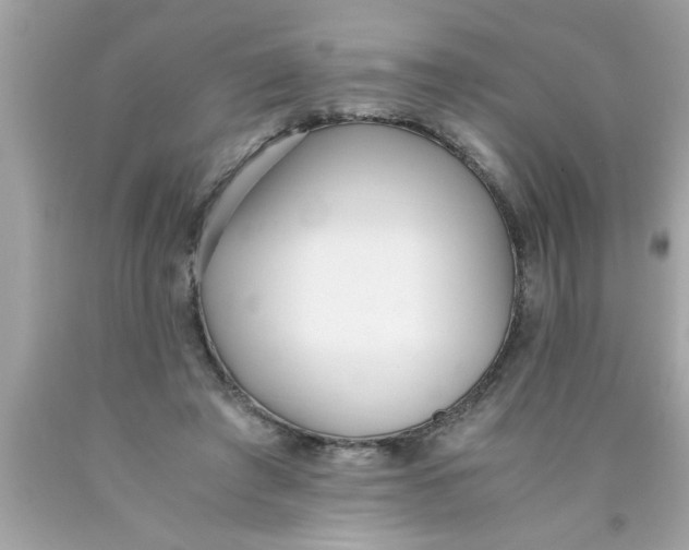 X0000089870401200707262153