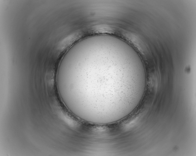 X0000089870402200707262153