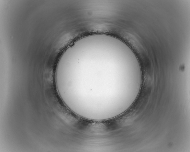 X0000089870403200707262153