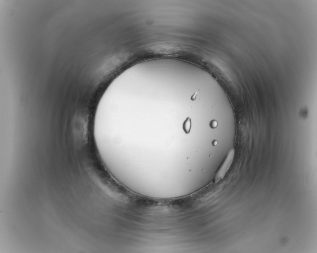 X0000089870404200707262153