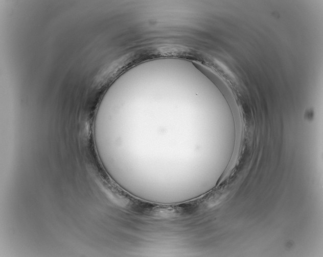 X0000089870405200707262153