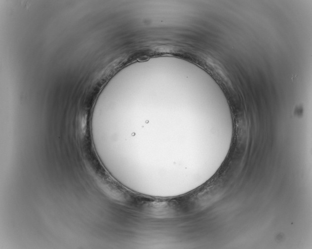 X0000089870406200707262153