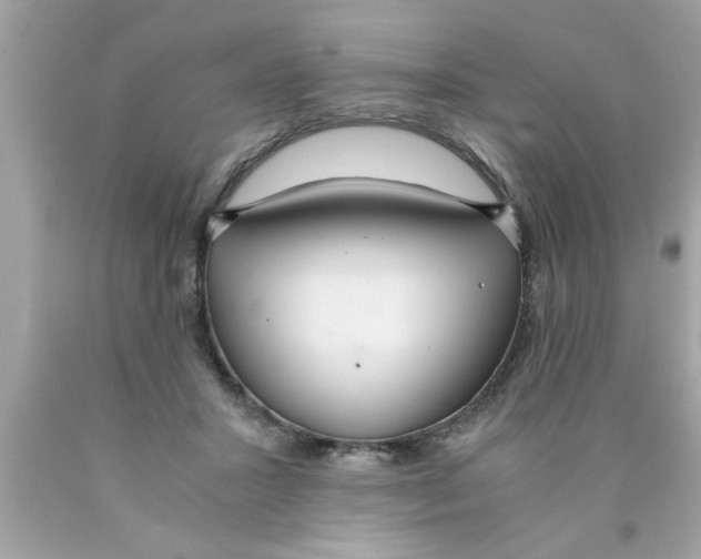 X0000089870407200707262153