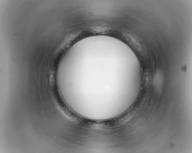 X0000089870408200707262153