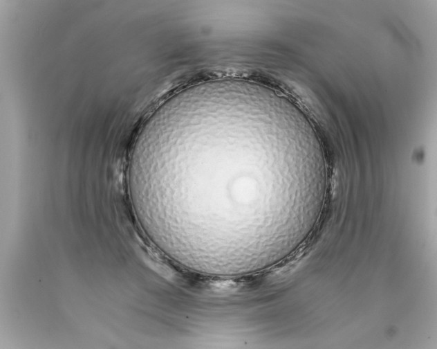 X0000089870409200707262153