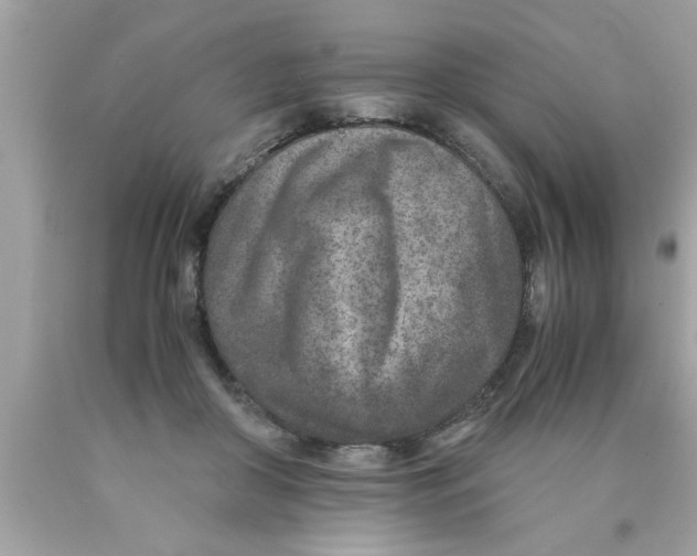 X0000089870410200707262153