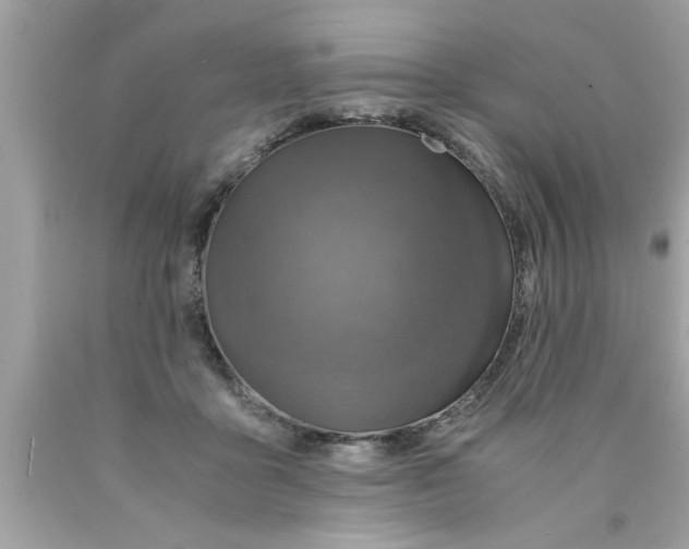 X0000089870411200707262153