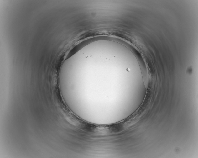 X0000089870413200707262153
