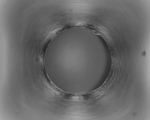 X0000089870415200707262153