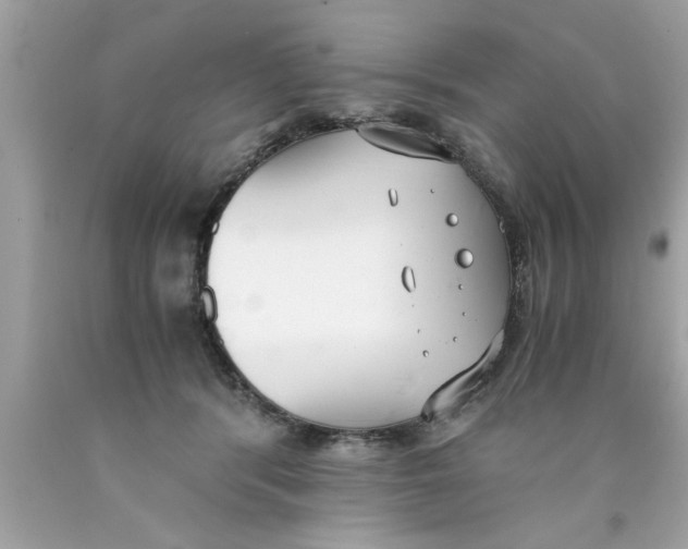 X0000089870416200707262153