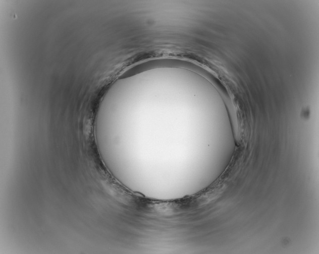 X0000089870417200707262153