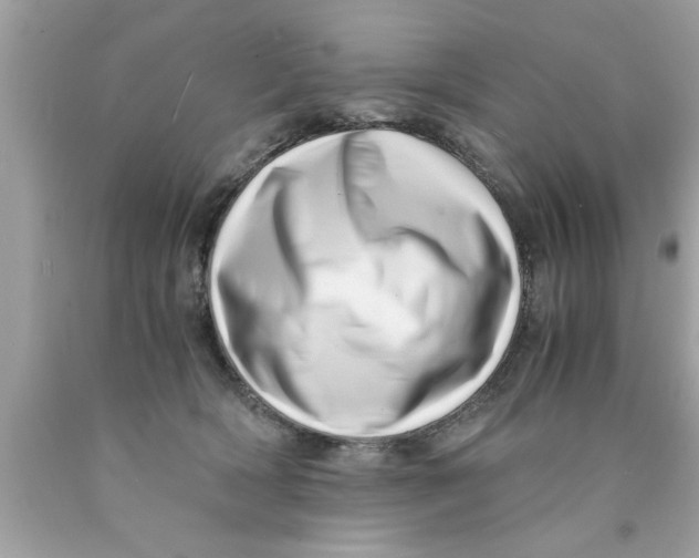 X0000089870418200707262153
