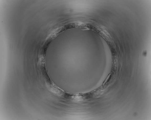 X0000089870419200707262153