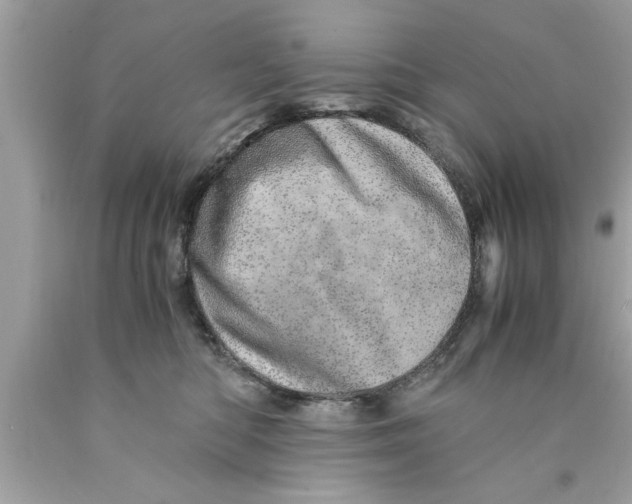 X0000089870422200707262153