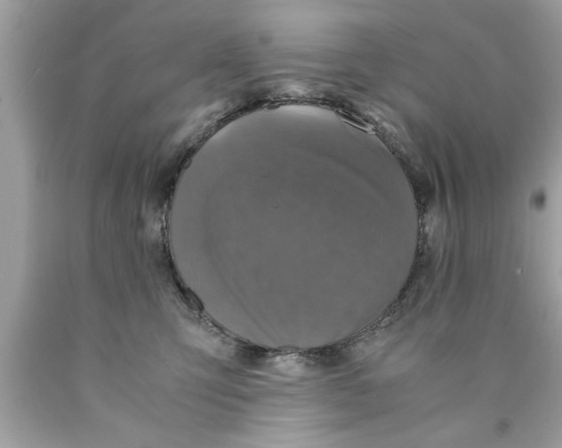 X0000089870423200707262153