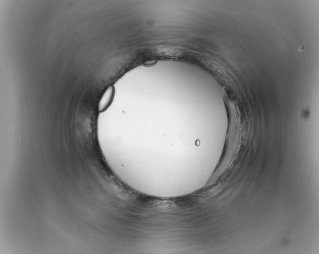 X0000089870424200707262153