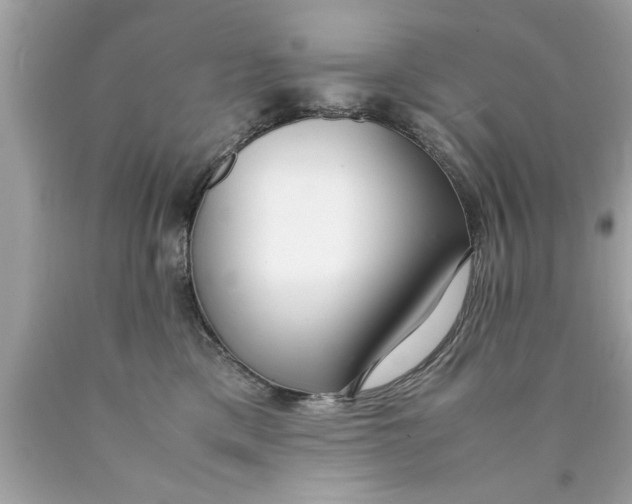 X0000089870425200707262153