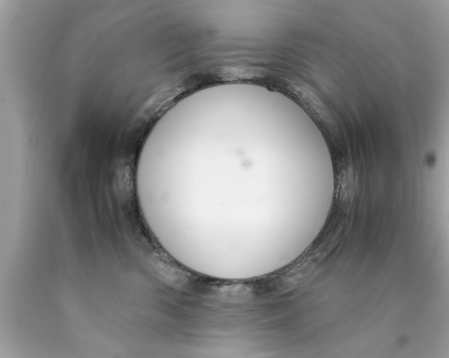 X0000089870426200707262153