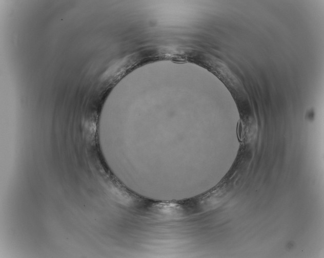 X0000089870427200707262153