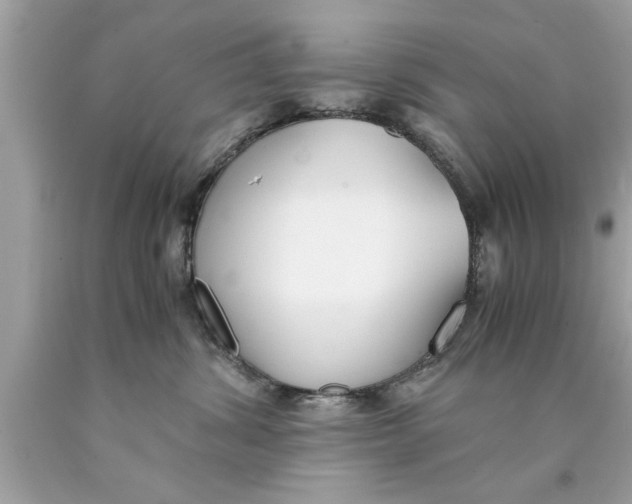 X0000089870428200707262153