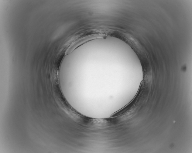 X0000089870429200707262153