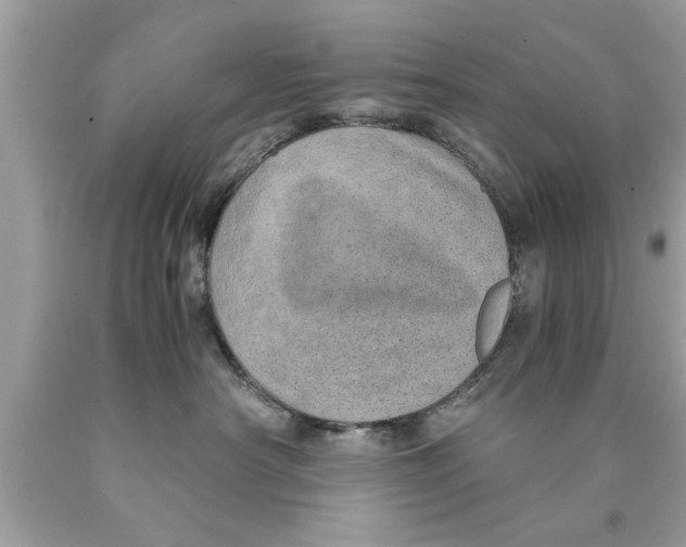 X0000089870430200707262153