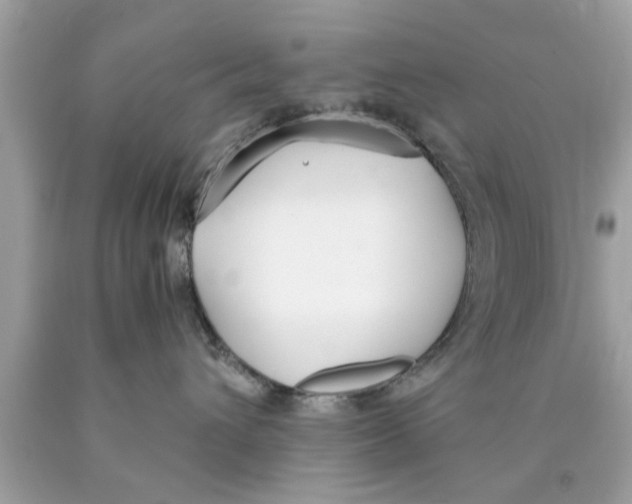 X0000089870432200707262153