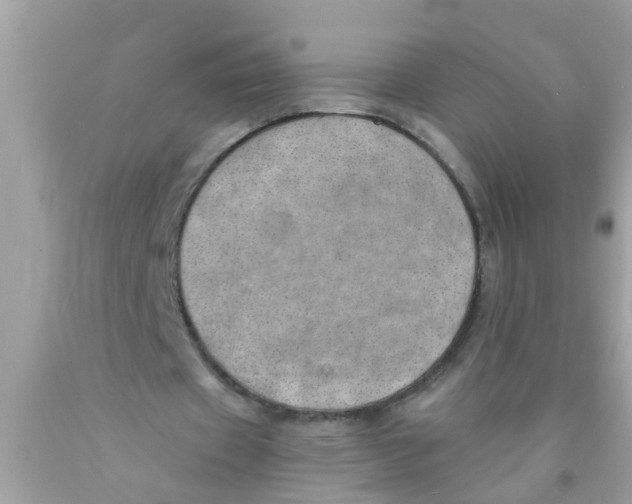 X0000089870433200707262152