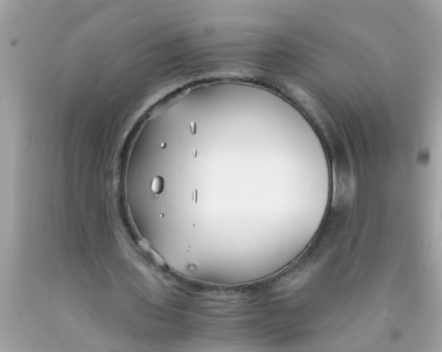 X0000089870435200707262152